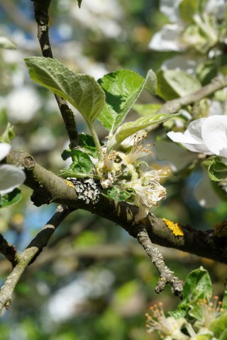 Frühling 2020