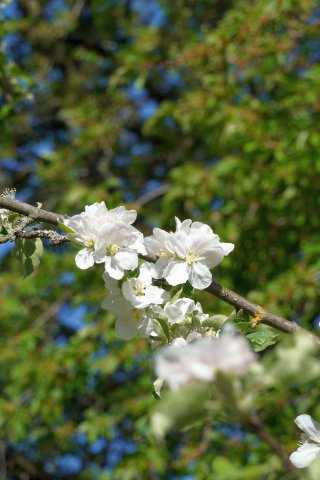 Frühling 2020