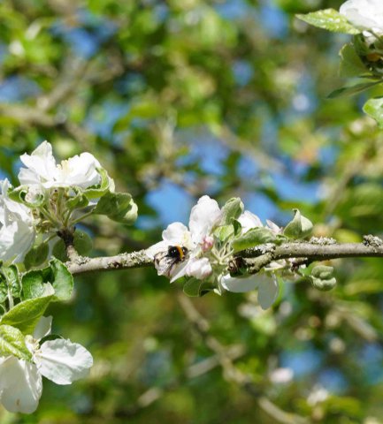 Frühling 2020