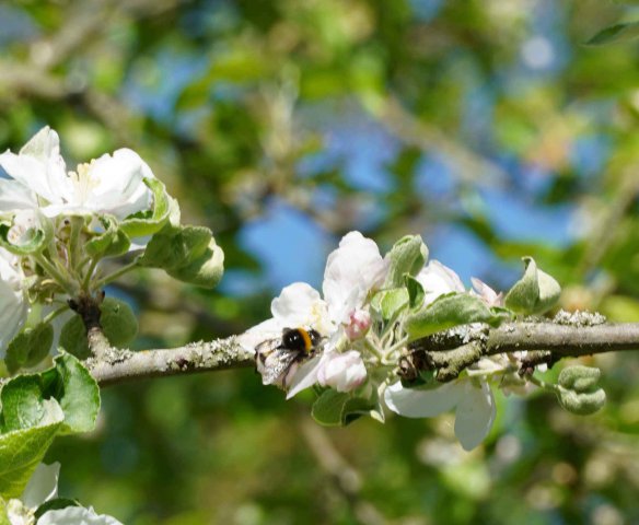 Frühling 2020